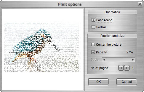 Print Options Menu Export and print